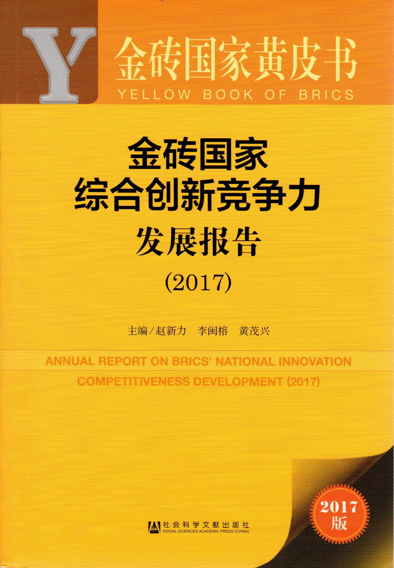 大鸡操爽啊啊啊啊啊视频金砖国家综合创新竞争力发展报告（2017）